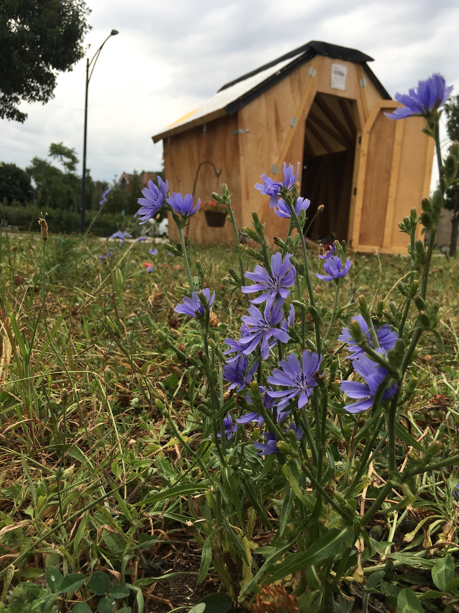 Resistance Architecture, STOP (The Healing Village), Project Fielding, 2018